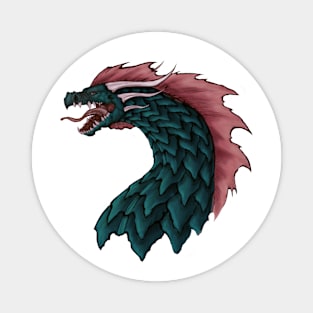 Dracos Magnet